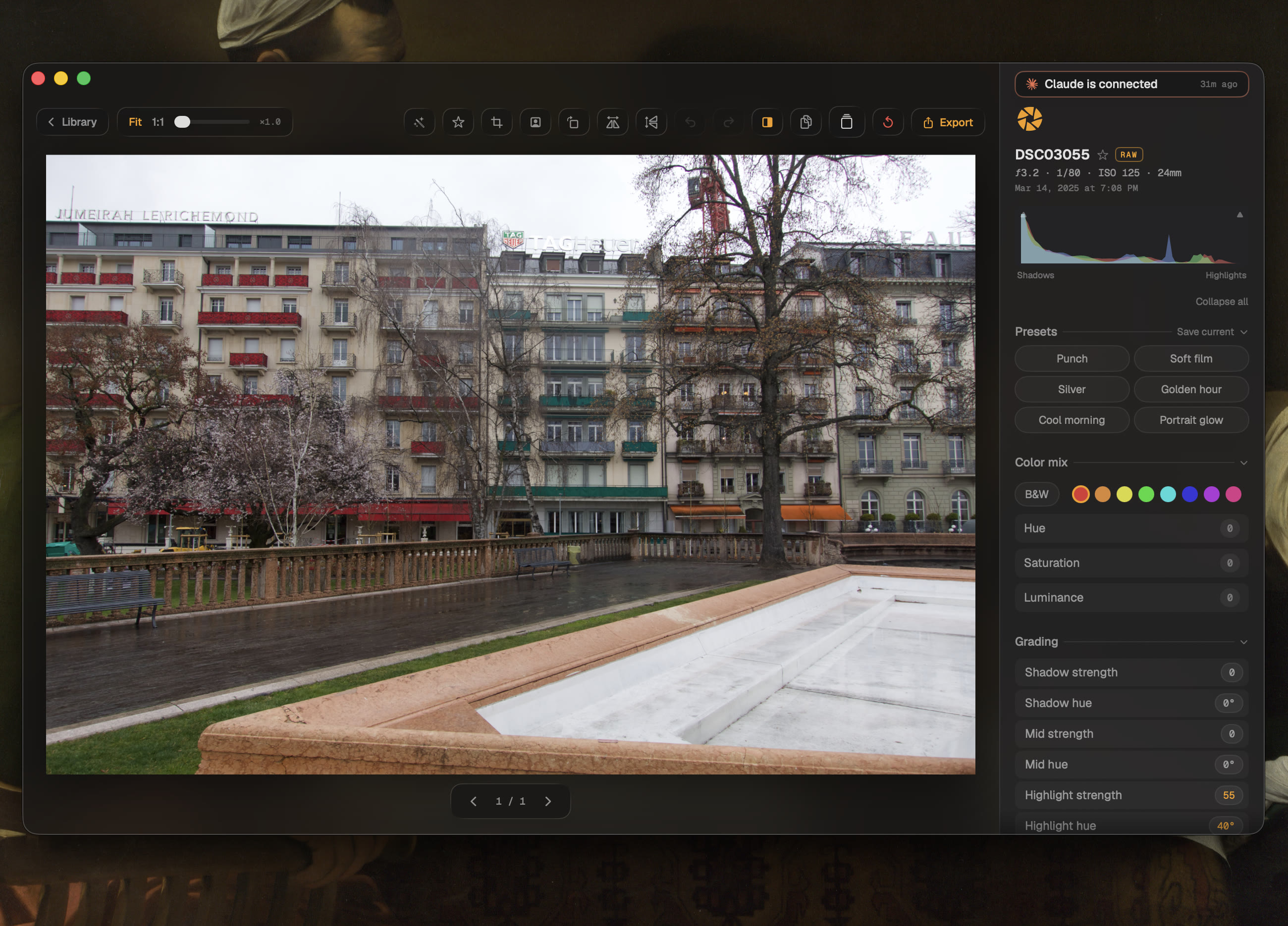 The photograph before editing